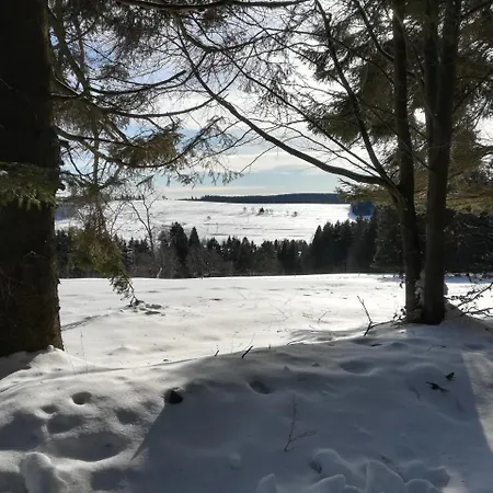 Lägenhetshotell Haus Linde Am Rennsteig