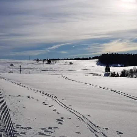 Lägenhetshotell Haus Linde Am Rennsteig 3*