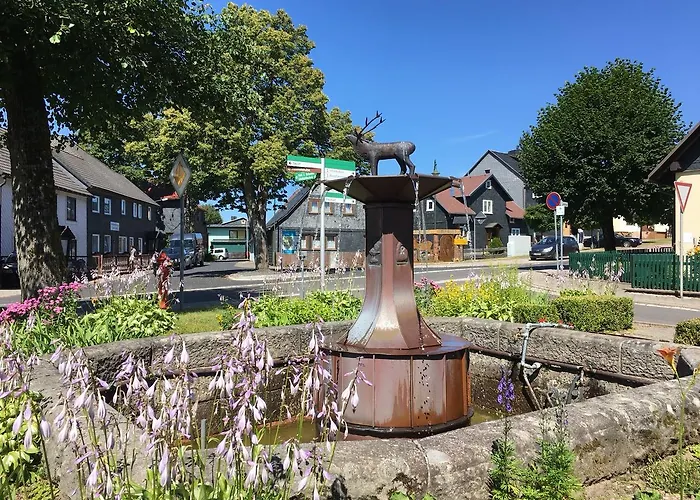 Haus Linde Am Rennsteig Lejlighedshotel 3*