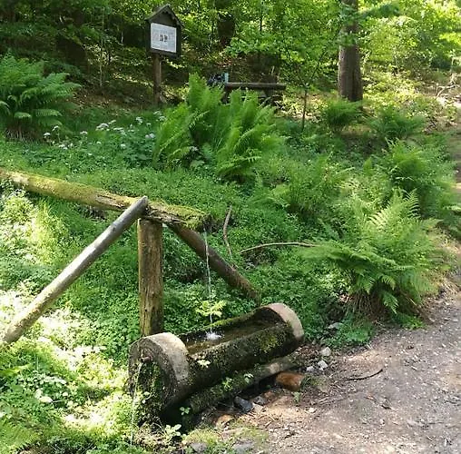 Lejlighedshotel Haus Linde Am Rennsteig 3*