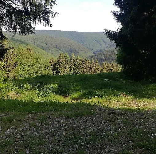 Haus Linde Am Rennsteig 3* Frauenwald