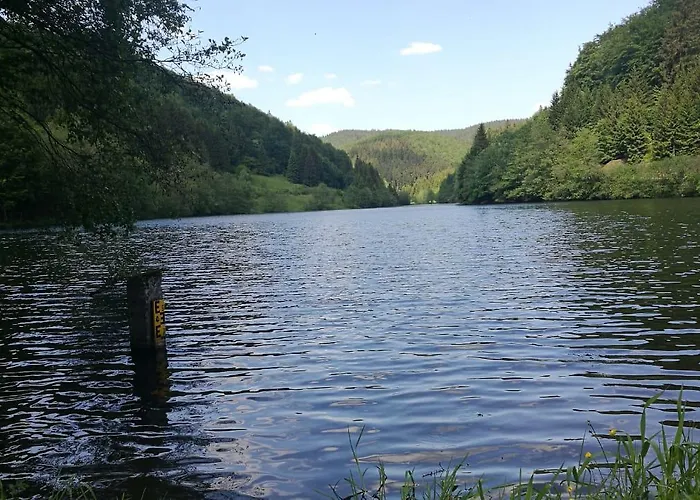 Haus Linde Am Rennsteig Lejlighedshotel Frauenwald