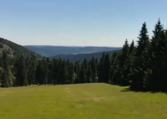 Haus Linde Am Rennsteig Lejlighedshotel 3*