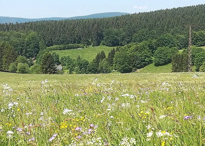 Lejlighedshotel Haus Linde Am Rennsteig 3*