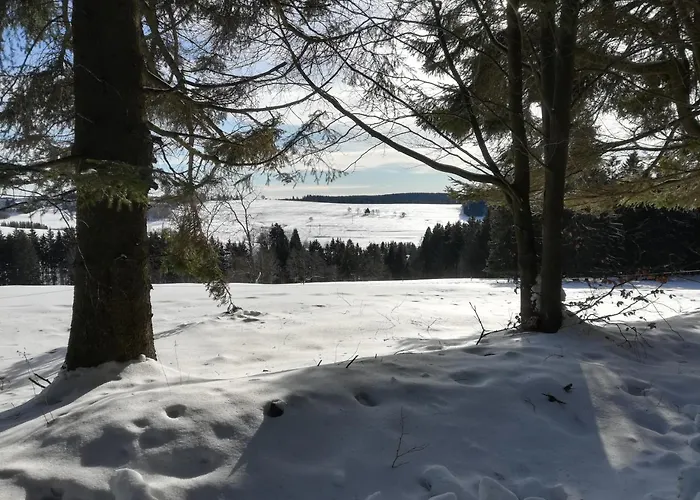 Lejlighedshotel Haus Linde Am Rennsteig