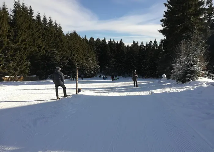 Haus Linde Am Rennsteig Frauenwald